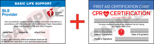 Sample American Heart Association AHA BLS CPR Card Certificaiton and First Aid Certification Card from CPR Certification Louisville