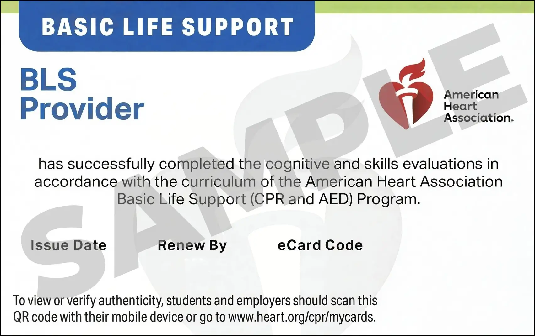 Sample American Heart Association AHA BLS CPR Card Certification from CPR Certification Louisville